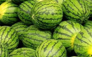 吃瓜网官网免费观看 吃瓜网官网,免费观看，畅享娱乐盛宴  第2张